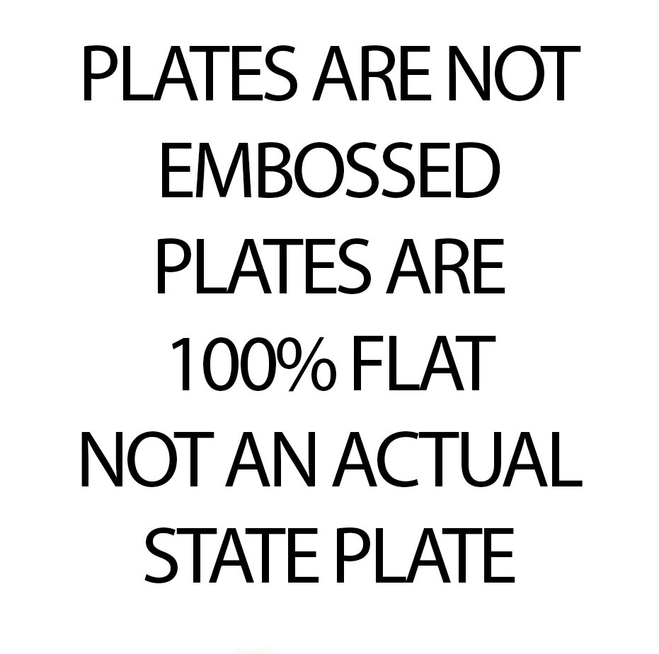 Any State Custom Motorcycle License Plate 4″x7″ Personalized US Canada Mexico