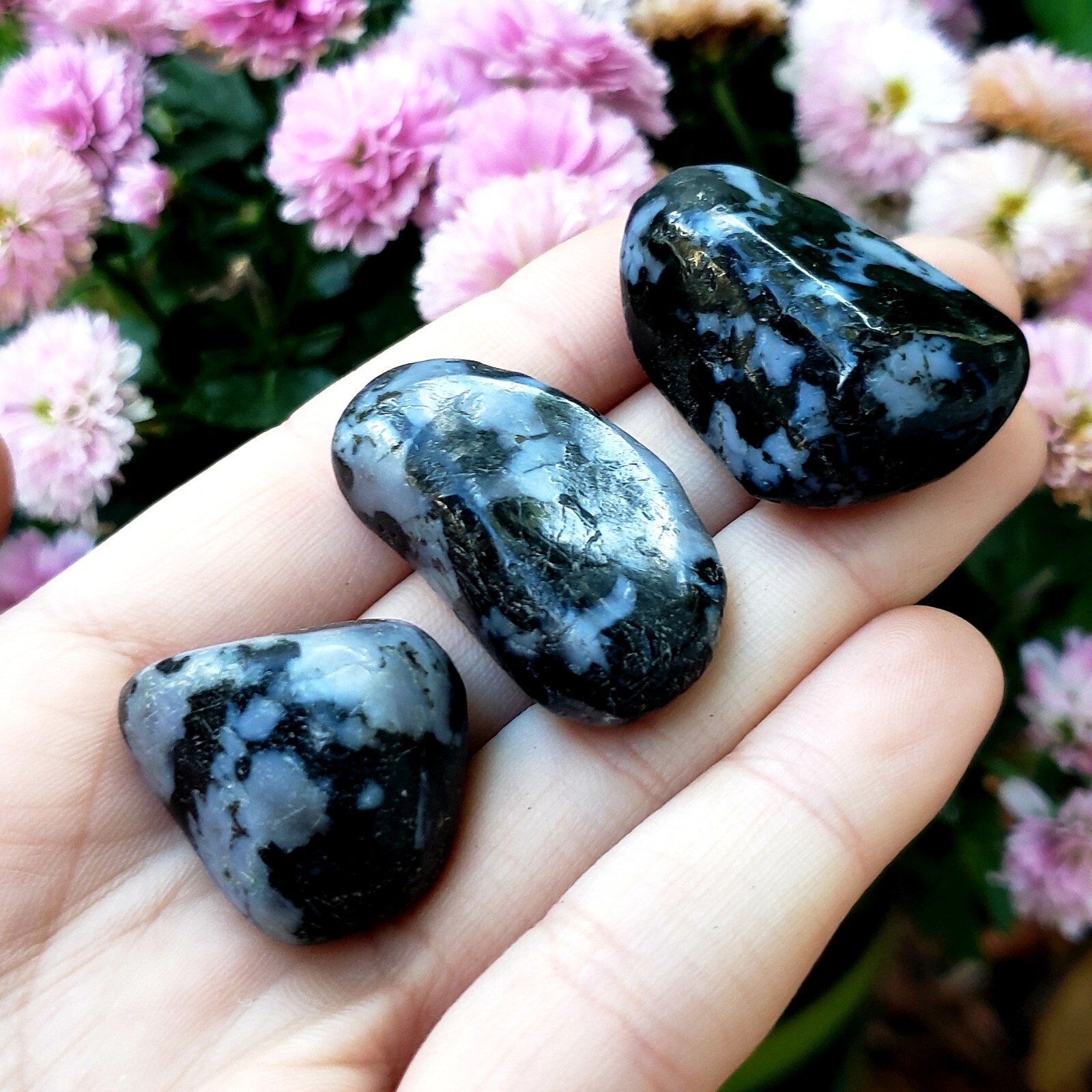 Mystic Merlinite Indigo Gabbro natural tumbled Crystal Healing Gemstones 2pc set
