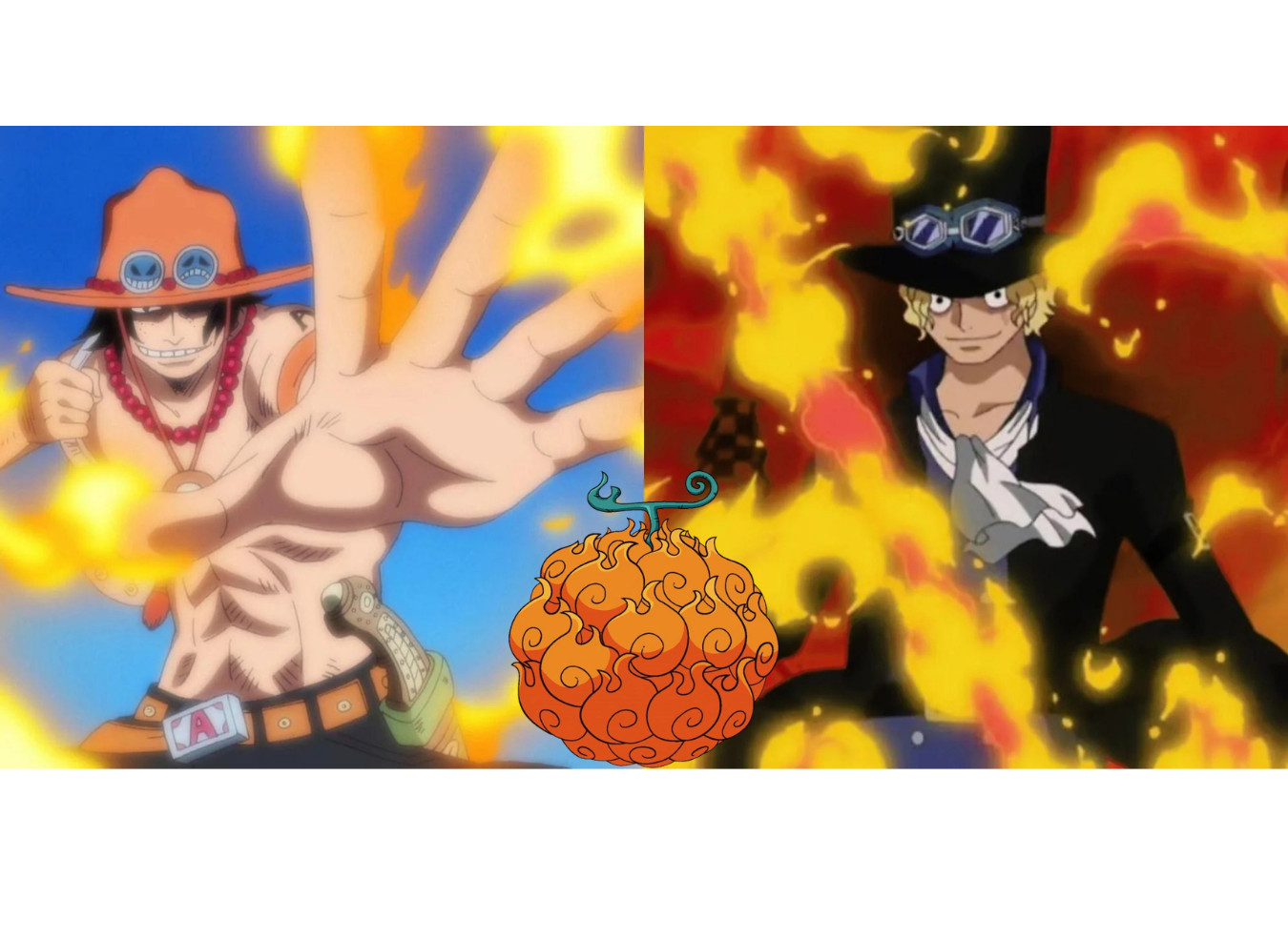 One Piece Devil Fruit Mera Mera No Mi (Flame flame Fruit) Portgas .D. Ace