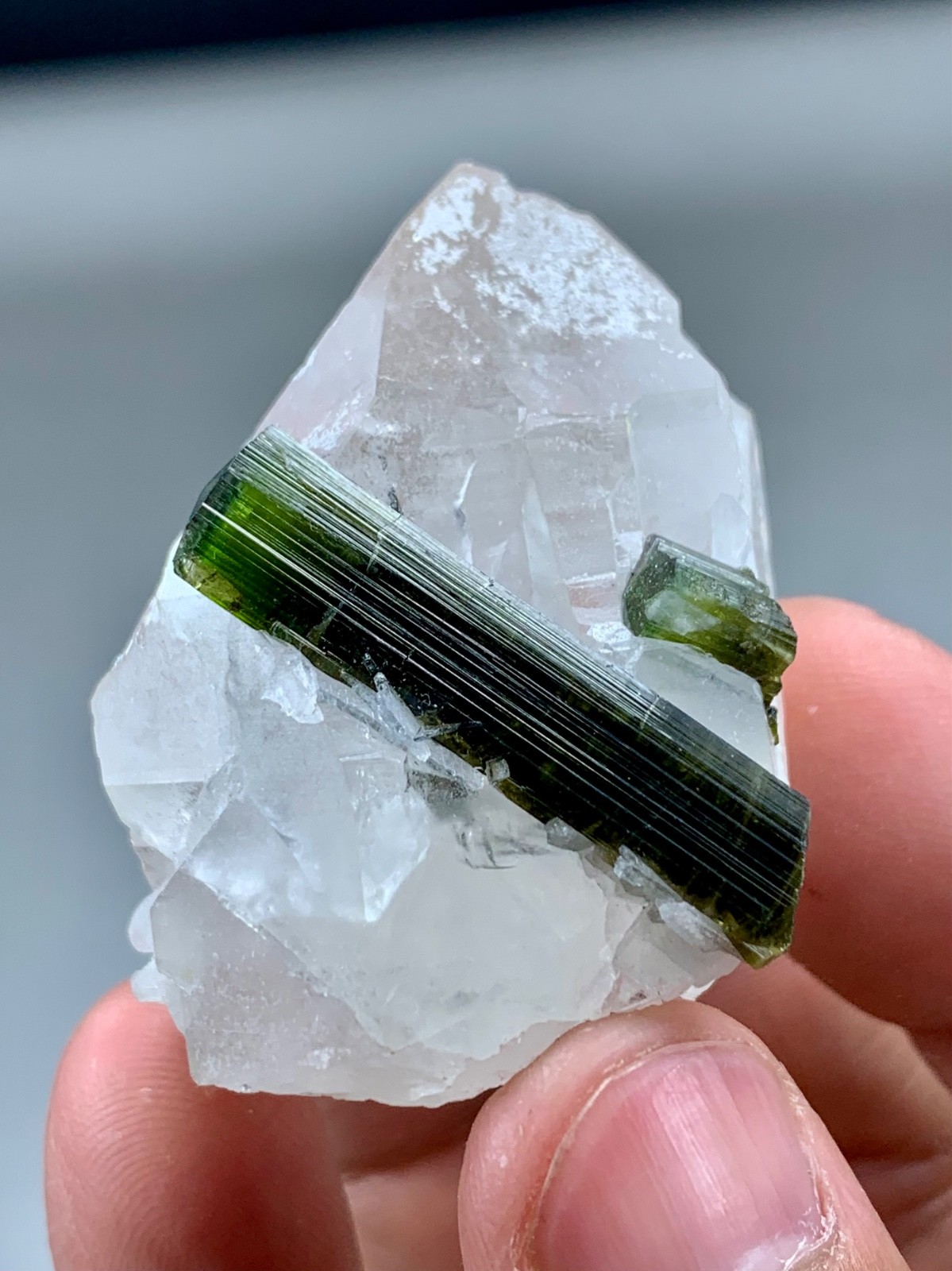 77 Gm tourmaline crystal having sharp terminations perched on quartz specimen