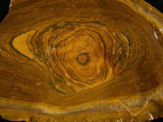Royal Sahara Jasper® 4 Pc. Rough Nodules 2 Lb. 8 oz.~ # 12