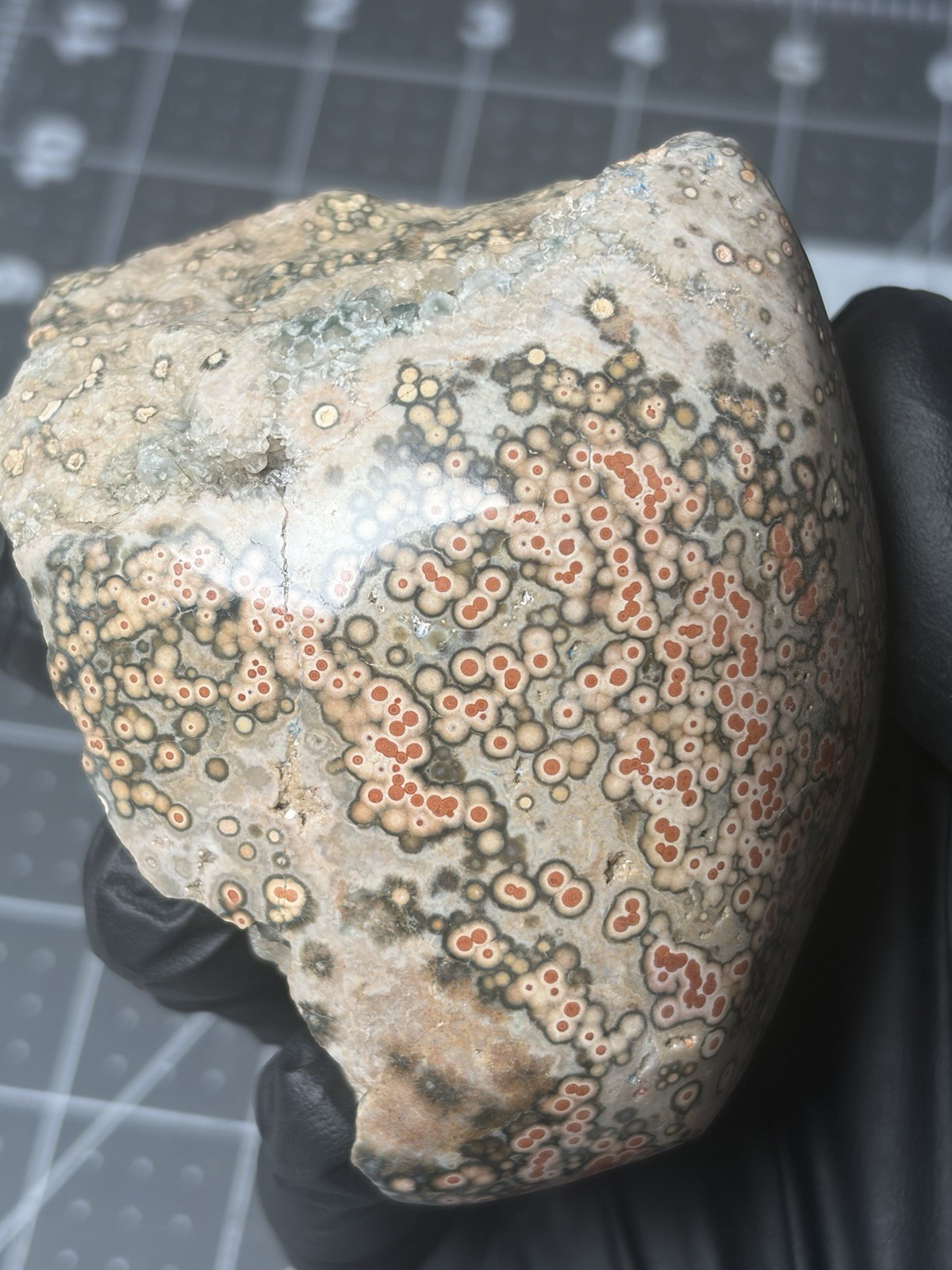 Old Stock Ocean Jasper Red Orbs Dome Polished Specimen