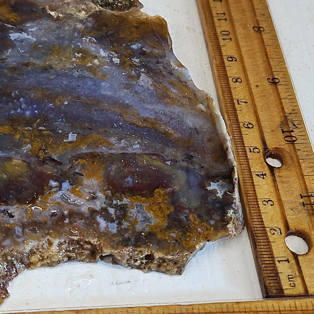Royal blue agate slab, MX Blue agate golden moss, 7″ x 5″ x 1/4″ 12.0OZ