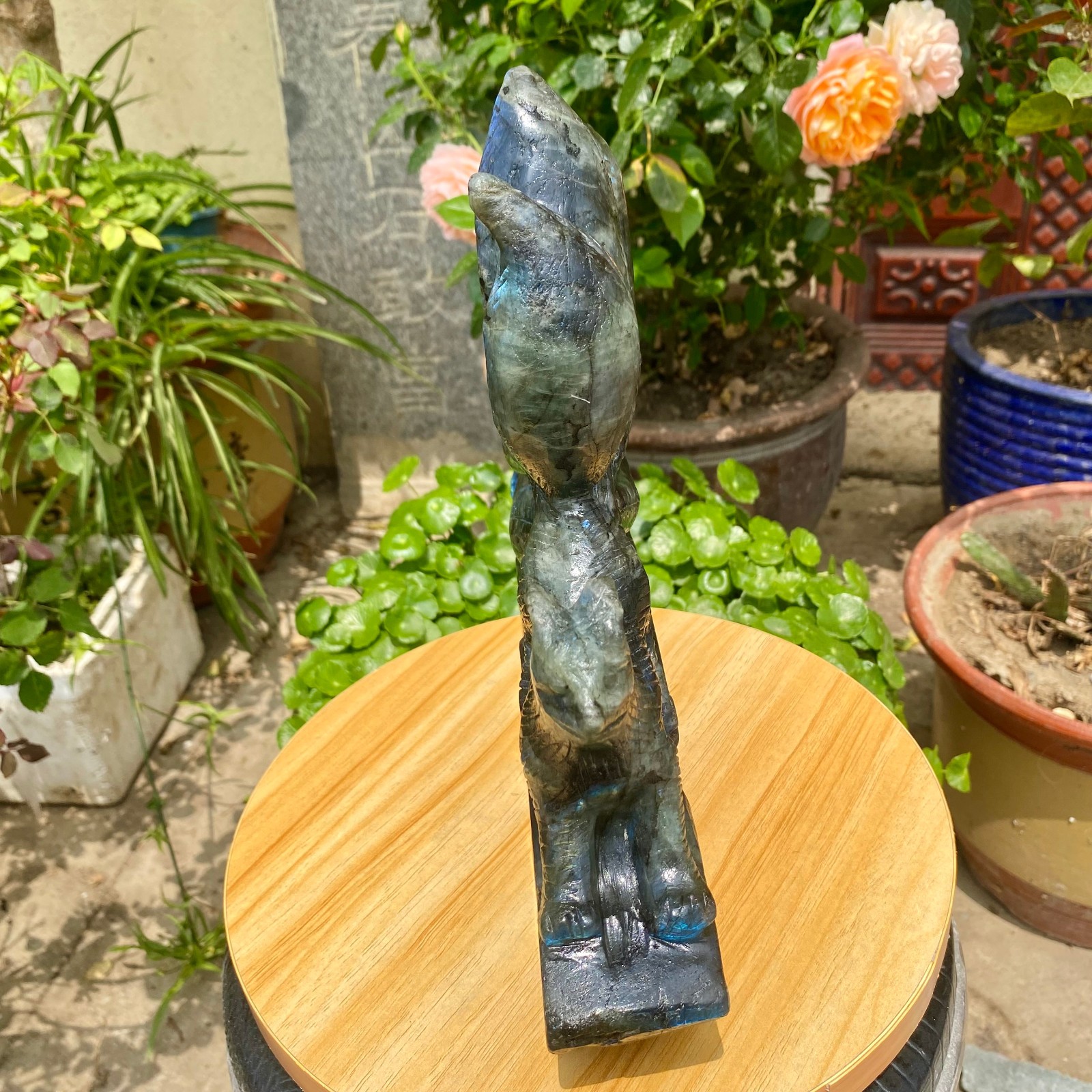 8.81LB Natural Labrador Nine Tailed Fox Carving