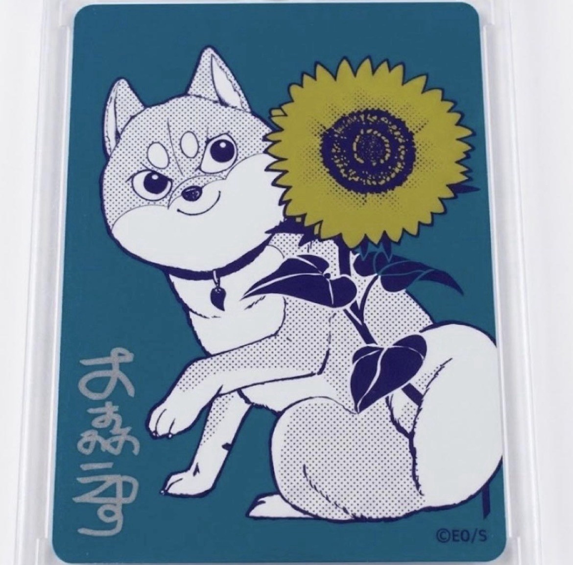 Natsucomi Summer 2026 Metakira Metallic Trading Card Shiba Inu Rooms Mu-chan