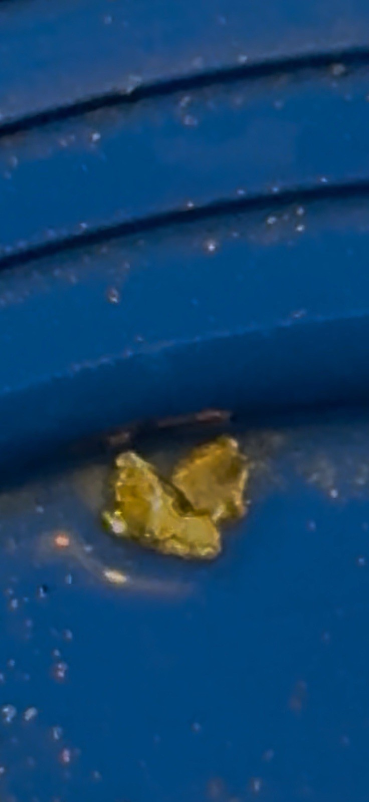 Gold Paydirt Covered Creek FIND .10 GOLD GUARANTEED 2 Pickers, Flour And Flake