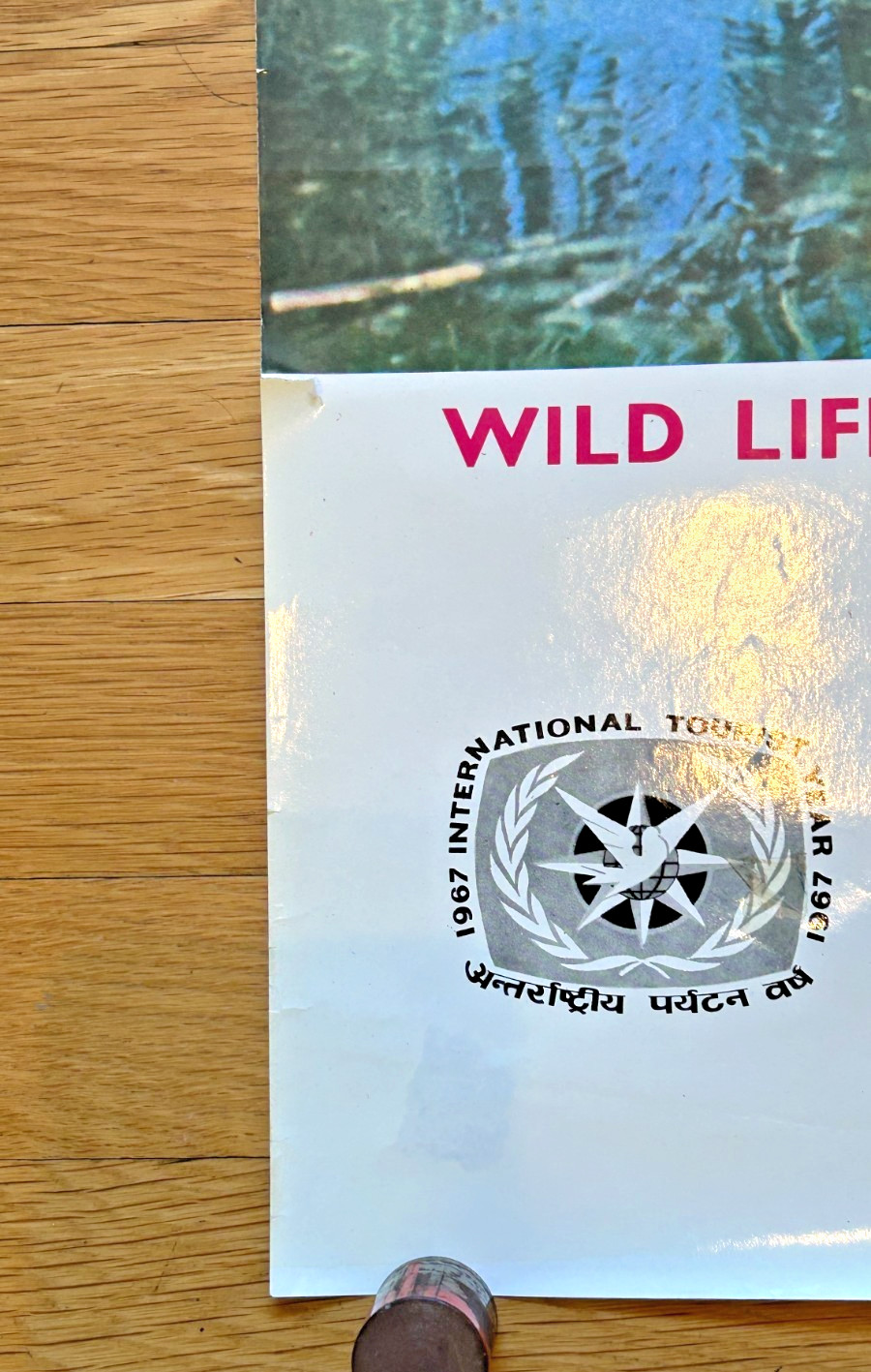 vintage 1967 INDIA Wild Life Poster advertising Board travel TIGER limited 10000