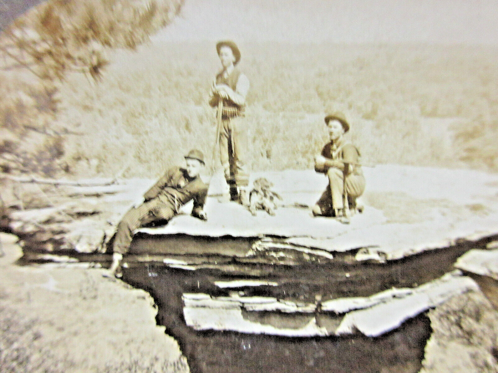 Stereoscope Stereo View Card Lumberjacks Woods Of Wisconsin+ DELLS and a Dog#13