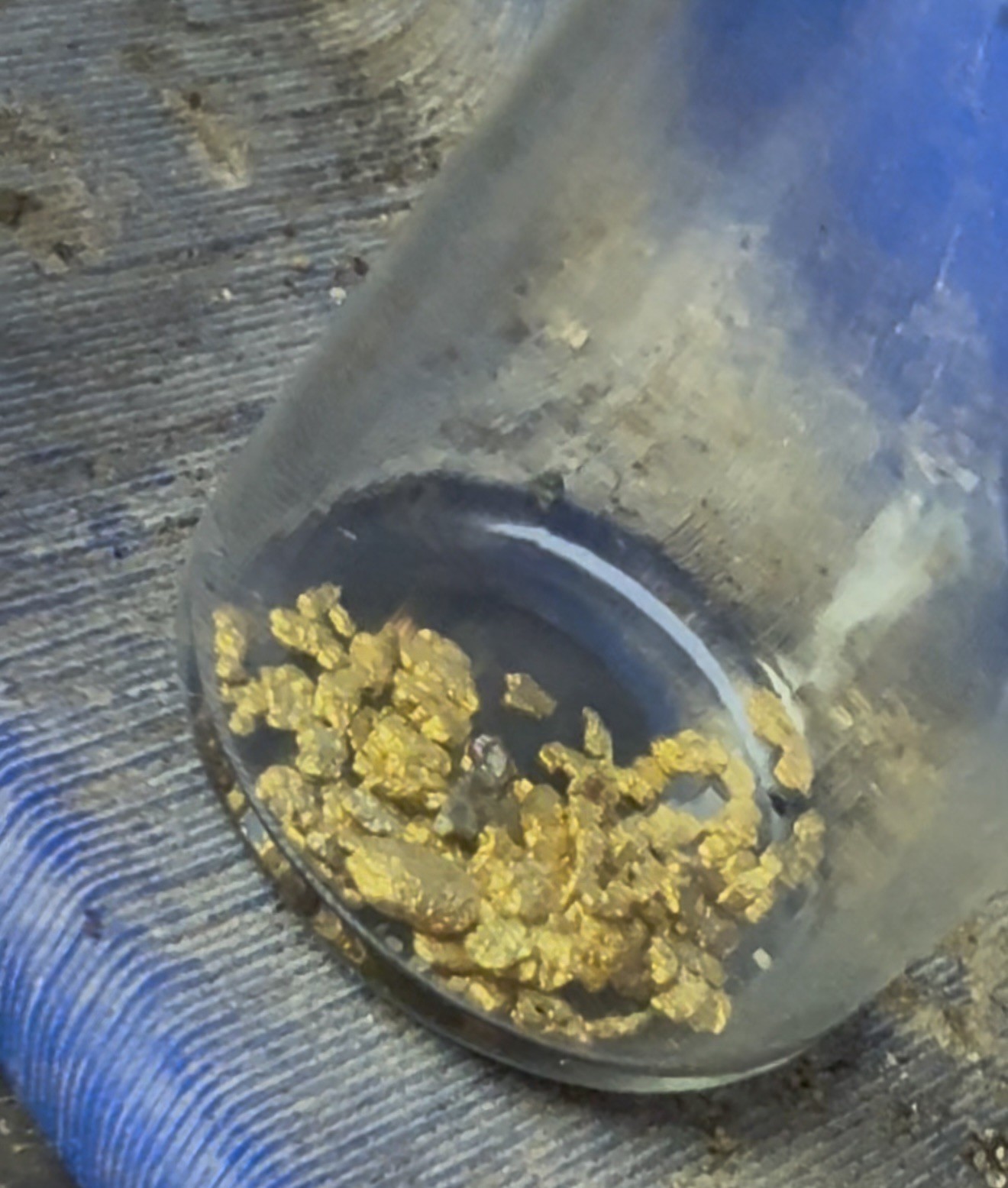 Gold Paydirt Covered Creek FIND .10 GOLD GUARANTEED 2 Pickers, Flour And Flake