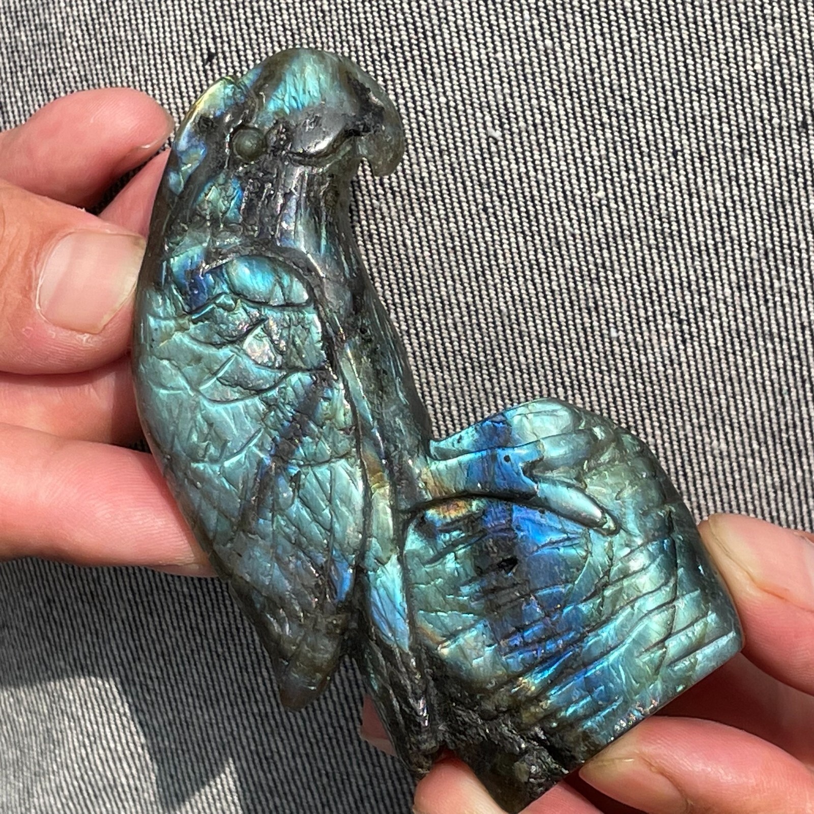 0.33LB TOP!Natural labradorite Quartz hand carved Crystal parrot reiki healing