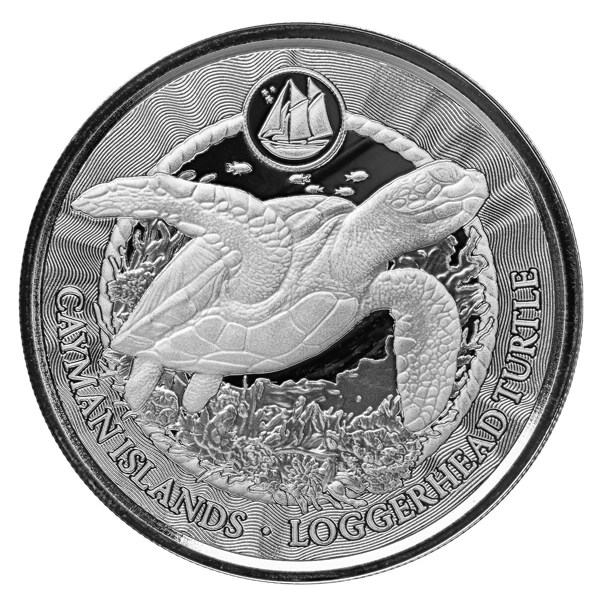2024 LOGGERHEAD TURTLE 1oz 9999 Silver Coin Cayman Islands BU Scottsdale INSTOCK
