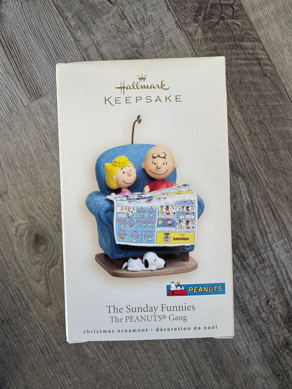 Hallmark Peanuts Gang Sunday Funnies Charlie Brown & Sally Ornament 2007 (N)