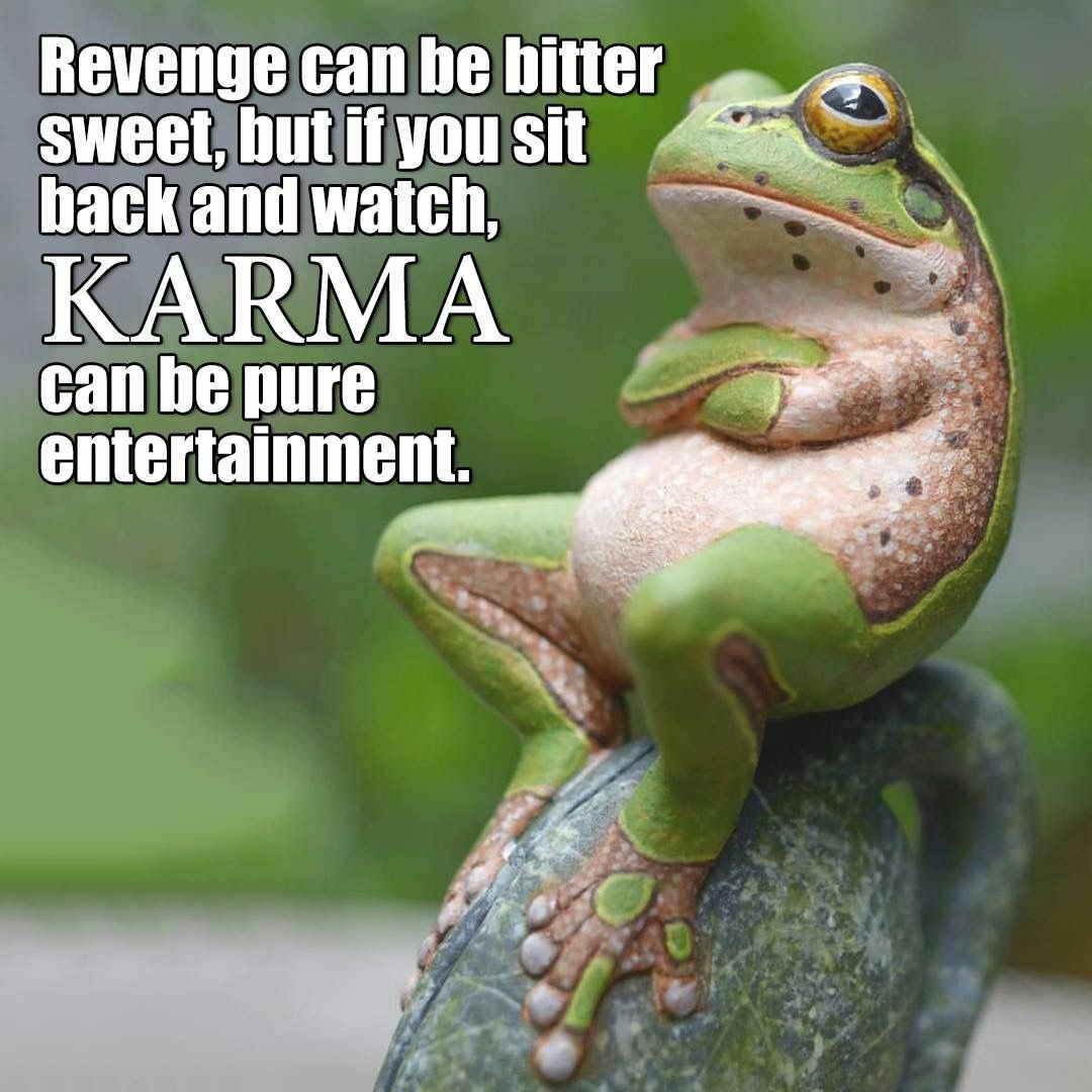 Funny Karma Frog Refrigerator / Fridge / Locker/ Tool Box Magnet