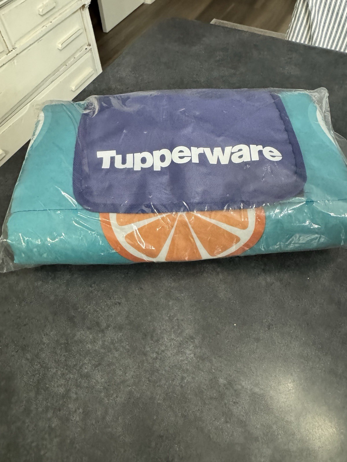 Tupperware Picnic Blanket Summer Stripes Logo 100% Polyester Blue NEW