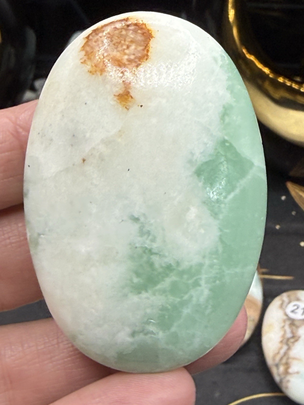 Natural Caribbean Calcite Palm Stones Free shipping