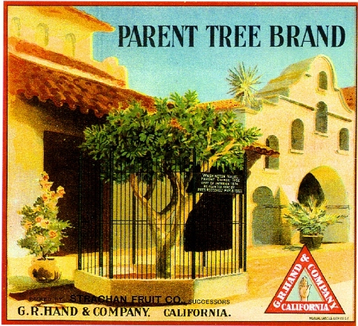 Riverside Parent Tree Mission Inn Orange Citrus Fruit Crate Label Art Print