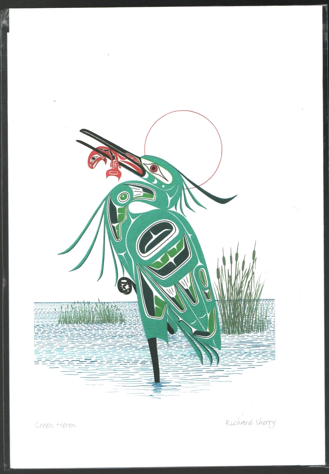 GREEN HERON by Tutchon, Yukon Artist Richard Shorty – New 6″ x 9″ Art Card