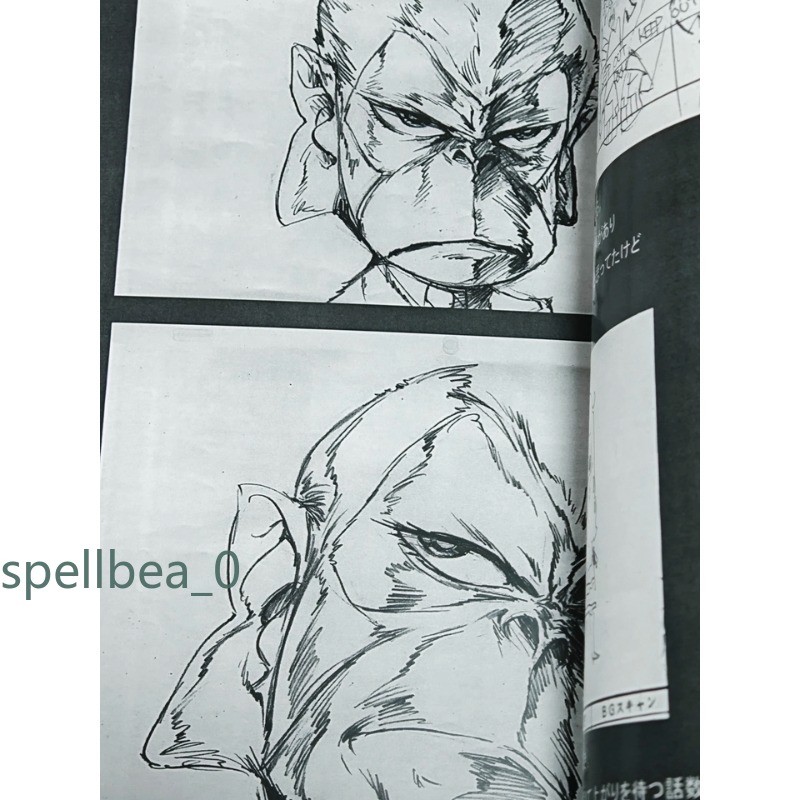 Panty & Stocking Animation Storyboard & Art Setting Book Full Color Artbook