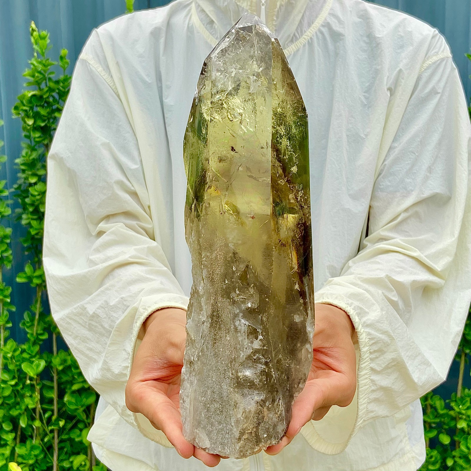 5.2LB Natural Citrine backbone cluster mineral specimen quartz crystal healing