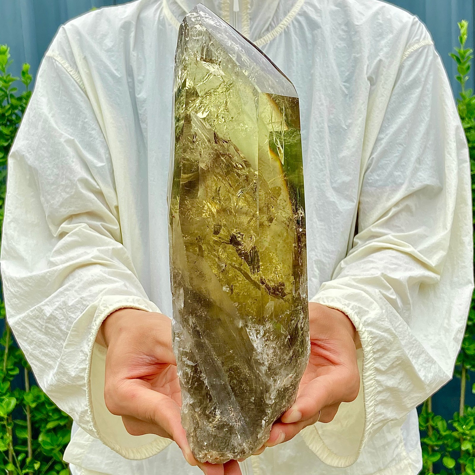 5.2LB Natural Citrine backbone cluster mineral specimen quartz crystal healing