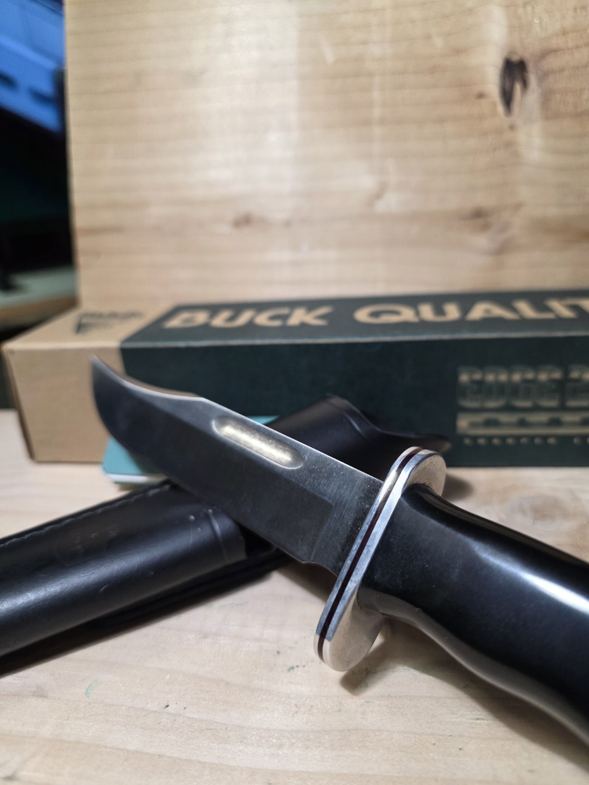 Buck 119 Special From 2000 With Original Box And Sheath Fixed Blade Knife