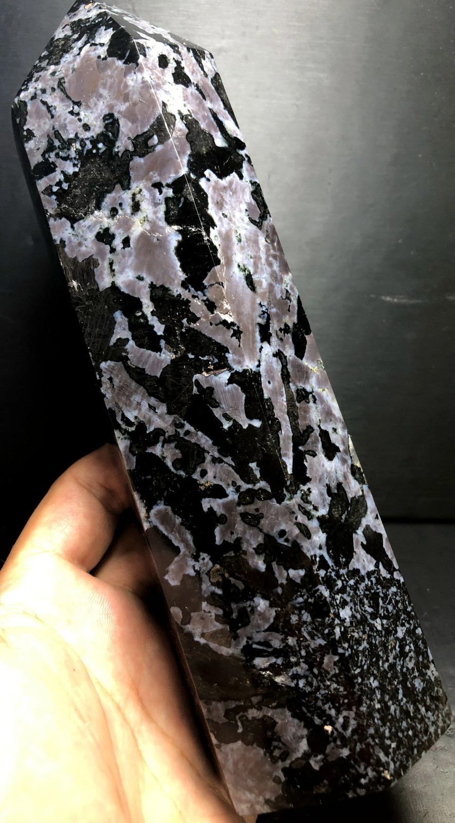 1151g 195mm Indigo Gabbro Terminated Generator Mystic Merlinite Crystal Point