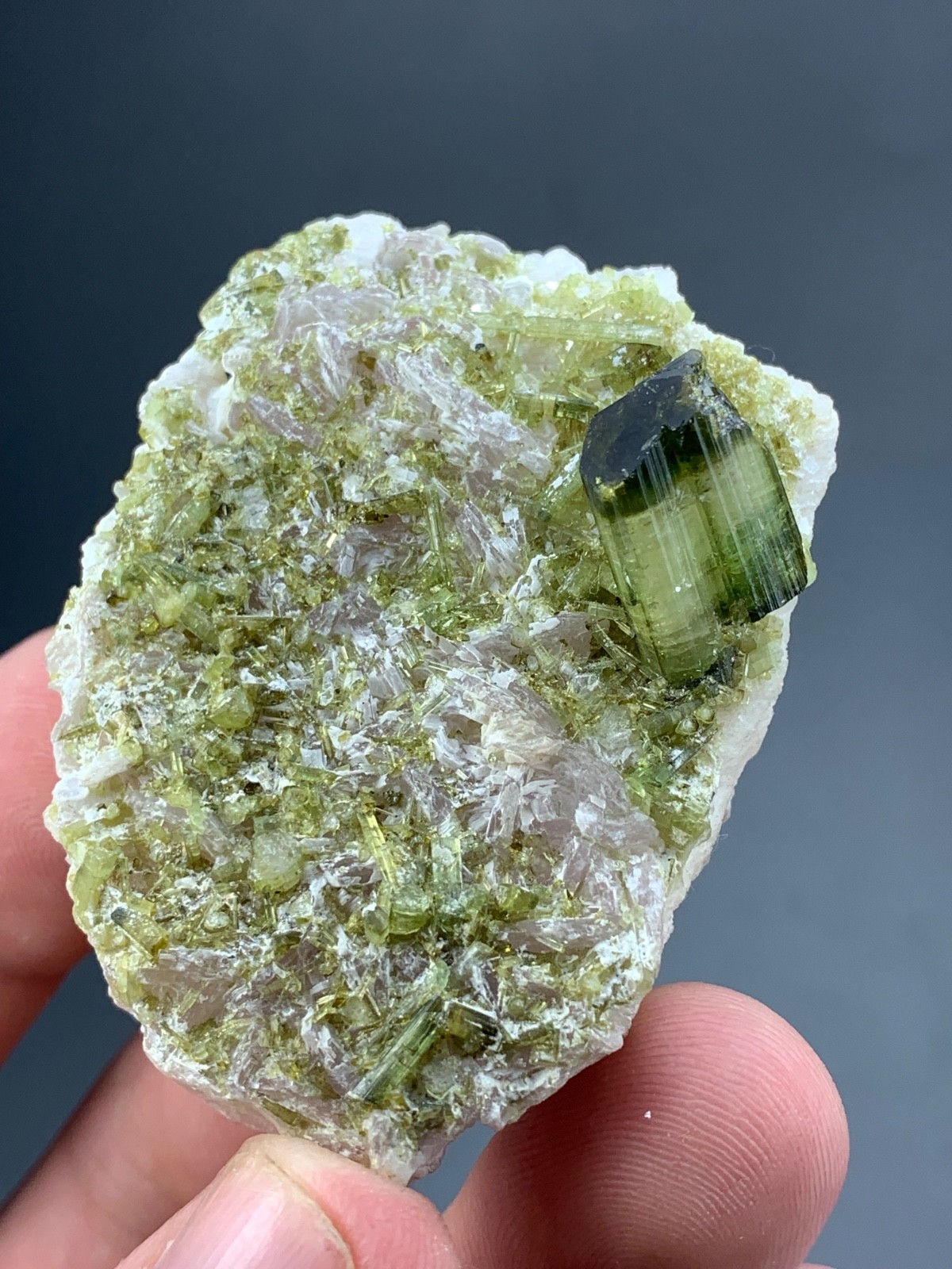 Tourmaline Crystal Specimen From Pakistan 350 Carat