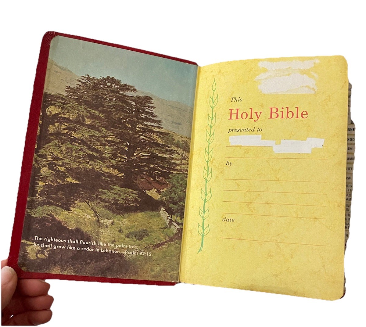 Holy Bible Red Letter Dictionary Con Revised Standard Ed Nelson Indexed 1972