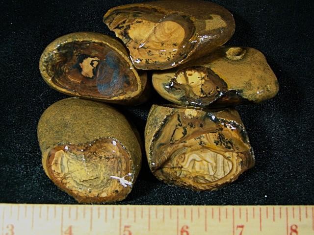 Royal Sahara Jasper® 5 Pc. Rough Nodules 2 Lbs. 3 oz~ # 14