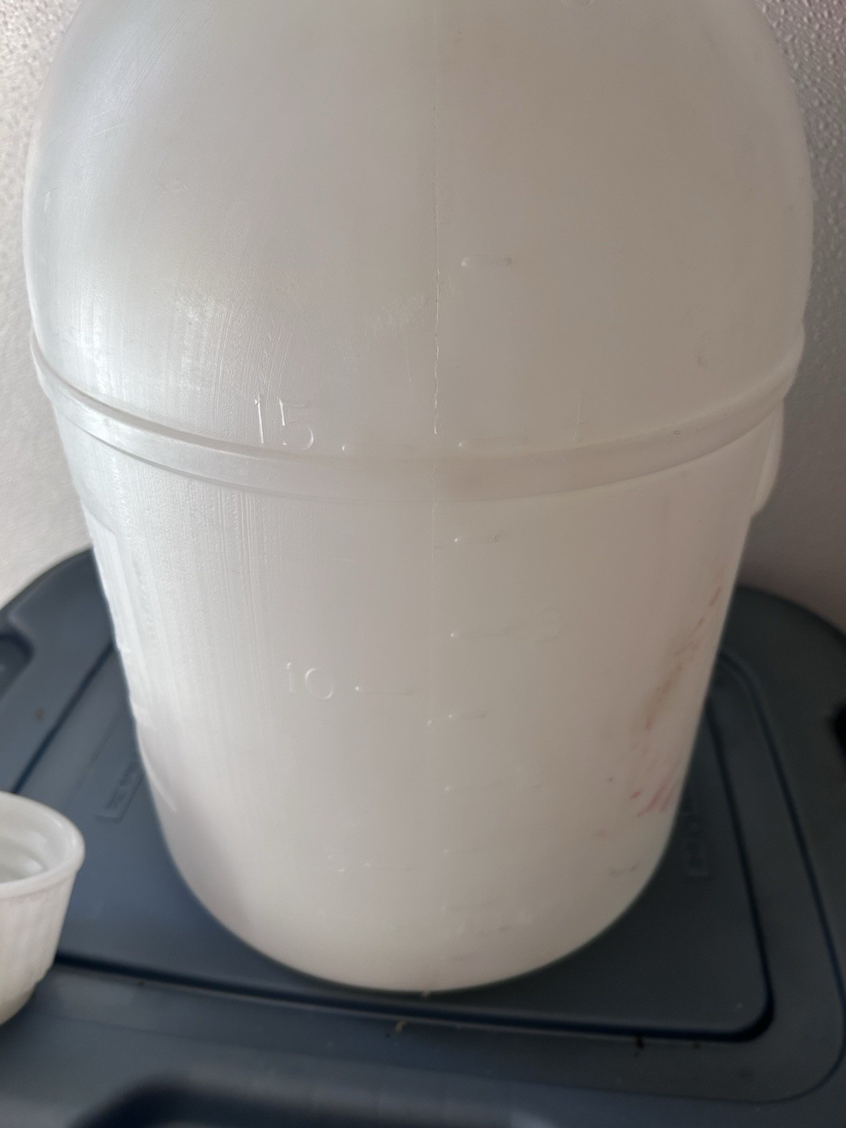 World Wide Racing Fuel Container 5 Gallon