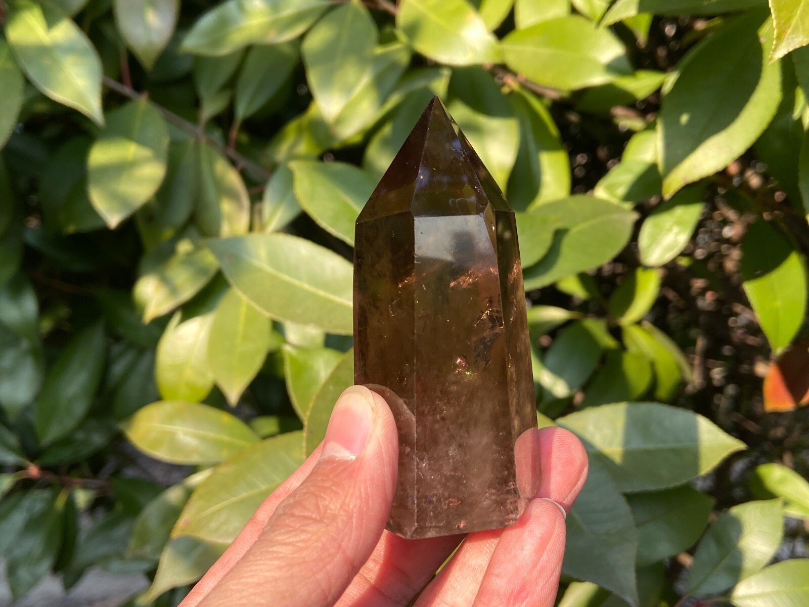 0.33LB TOP! Natural smoky quartz obelisk crystal wand point tower reiki healing