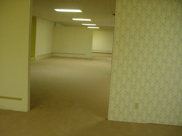 The Backrooms Authentic Carpet and Wallpaper Plaque with Certificate of Auth.