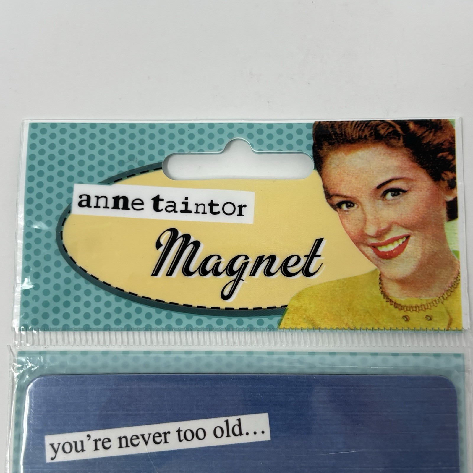 Anne Taintor „You’re Never Too Old To Try Something Stupid“ Funny Fridge Magnet