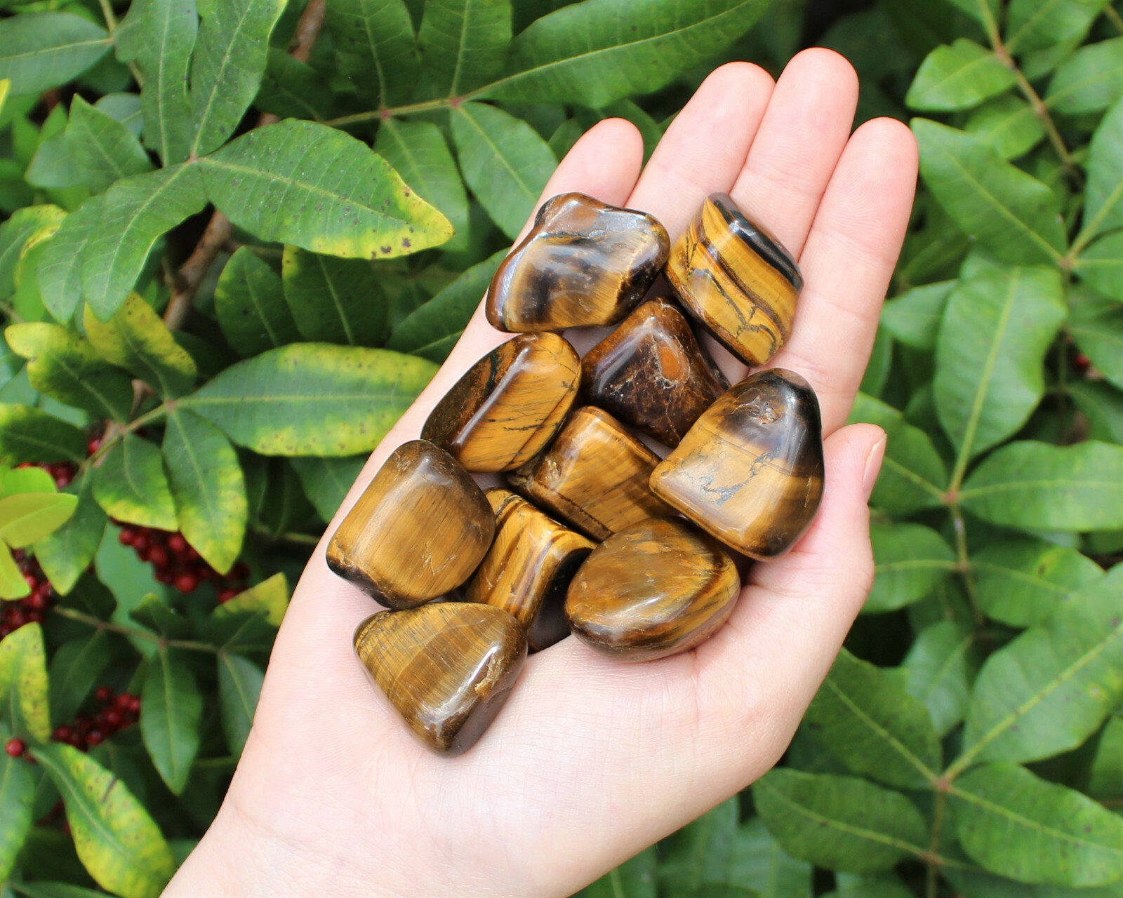 1/2 lb Bulk Lot Large Gold Tiger Eye Tumbled Stone Crystal Healing Reiki 8 oz