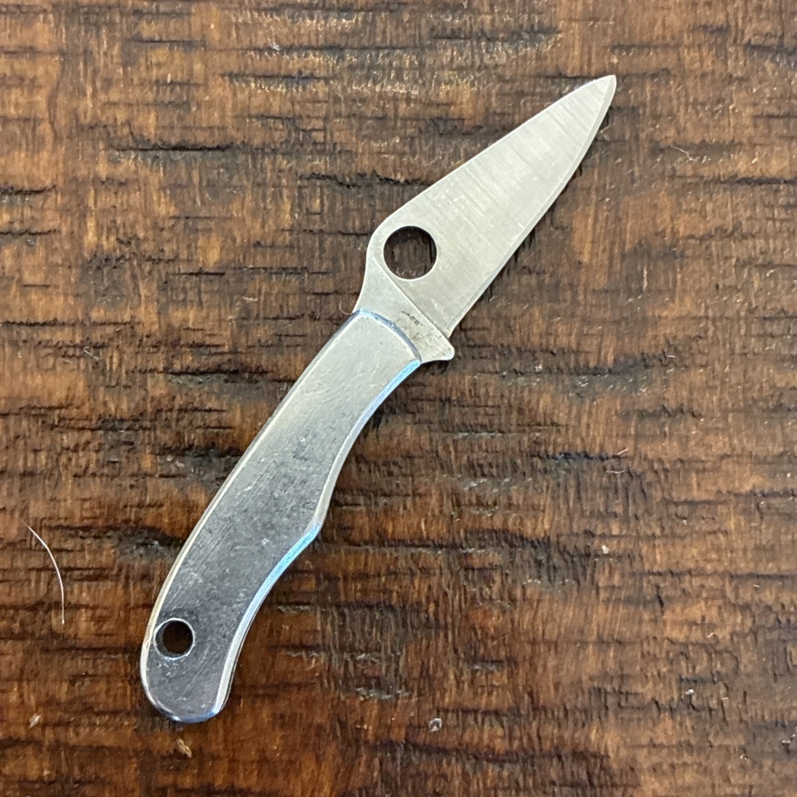 Spyderco Bug SS Slip Stainless Steel Handle Joint Plain Edge Folding Knife