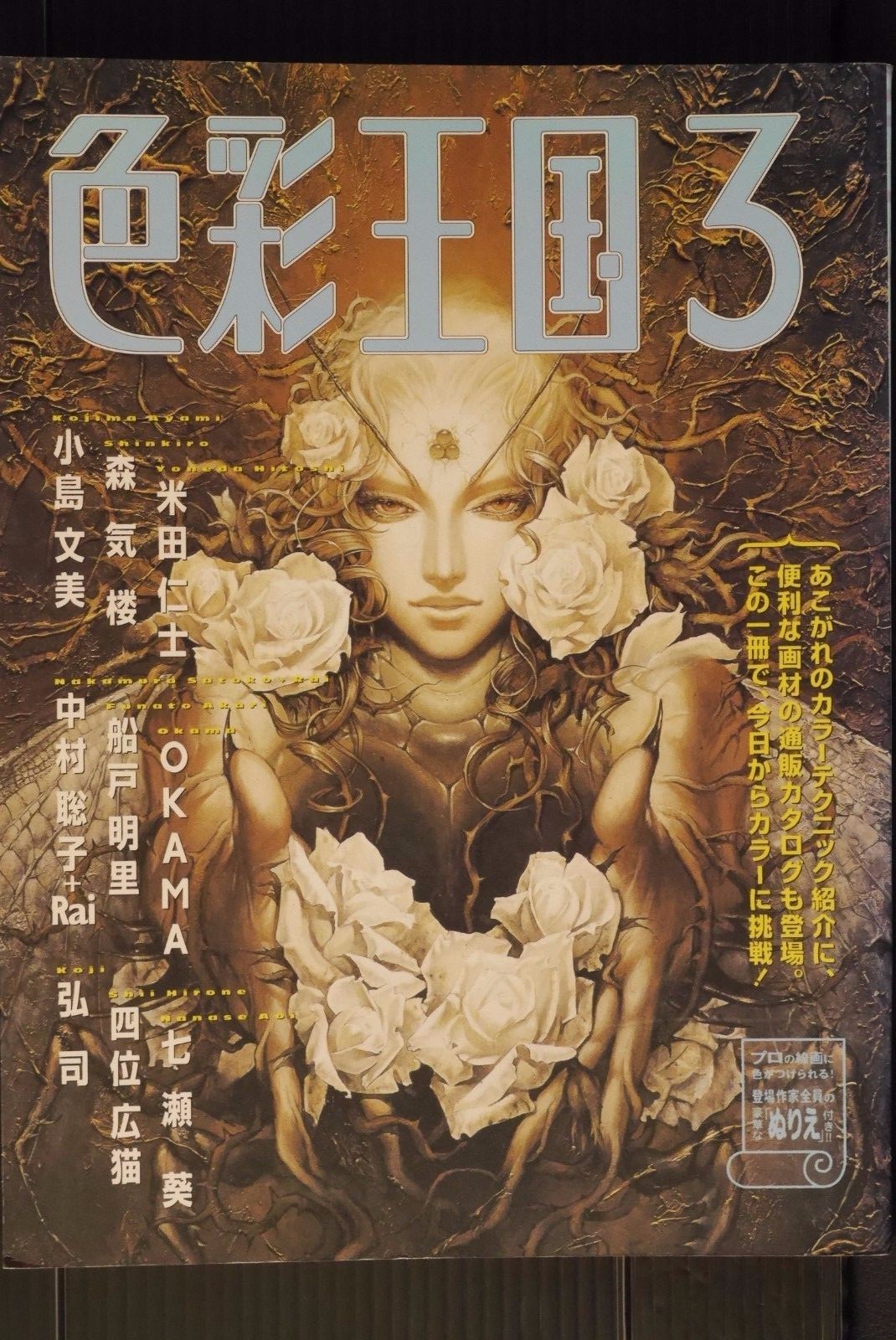 JAPAN How to Draw Illustrarion Book: Shikisai Oukoku vol.3 (Ayami Kojima & Other