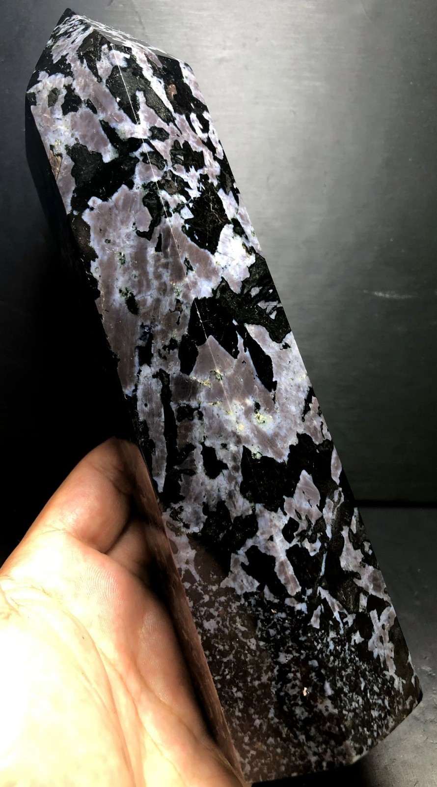 1151g 195mm Indigo Gabbro Terminated Generator Mystic Merlinite Crystal Point
