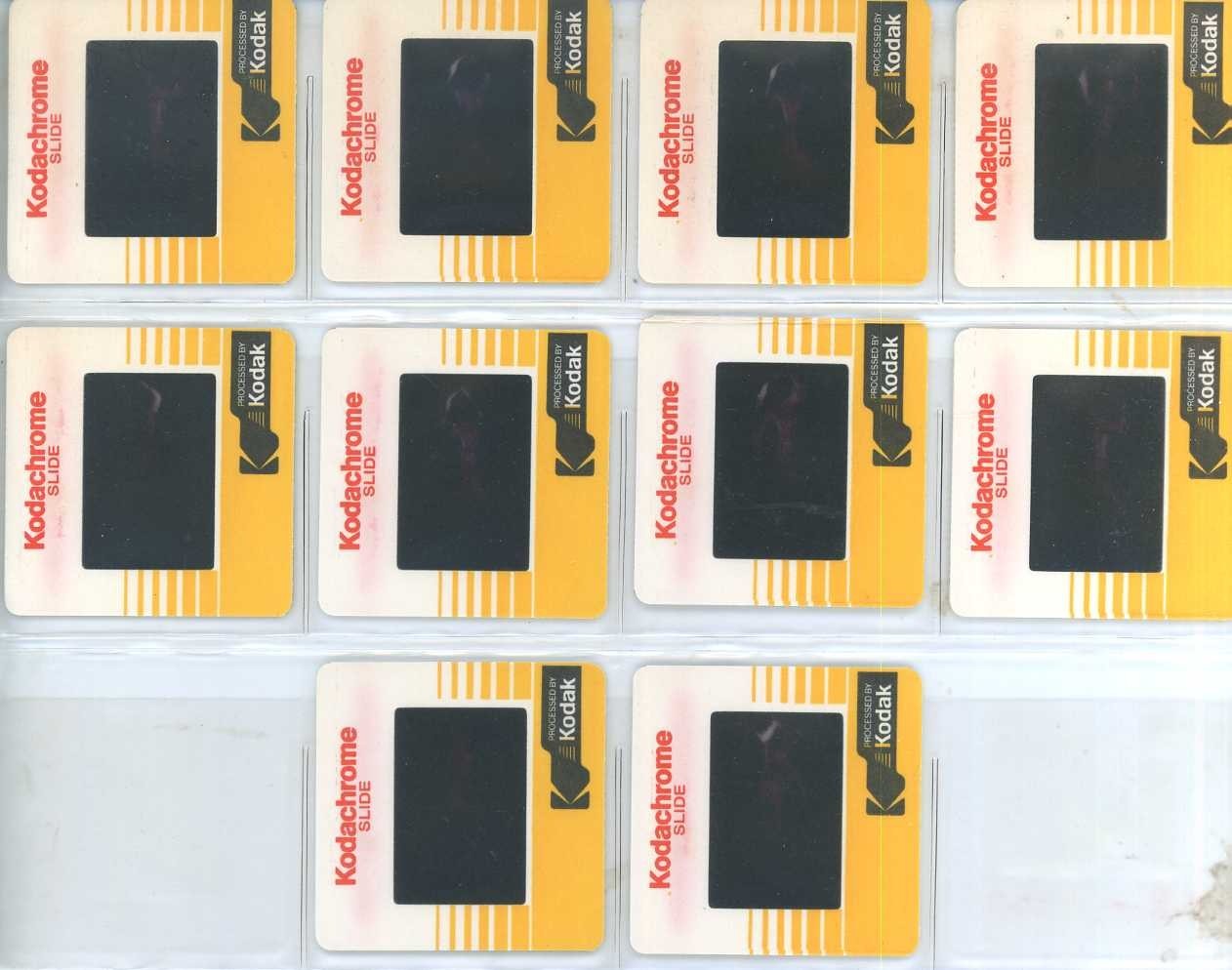 SAM MAXWELL Lot 10 ORIGINAL 35MM COLOR SLIDES 1984 BUSTY BLONDE FITNESS MODEL