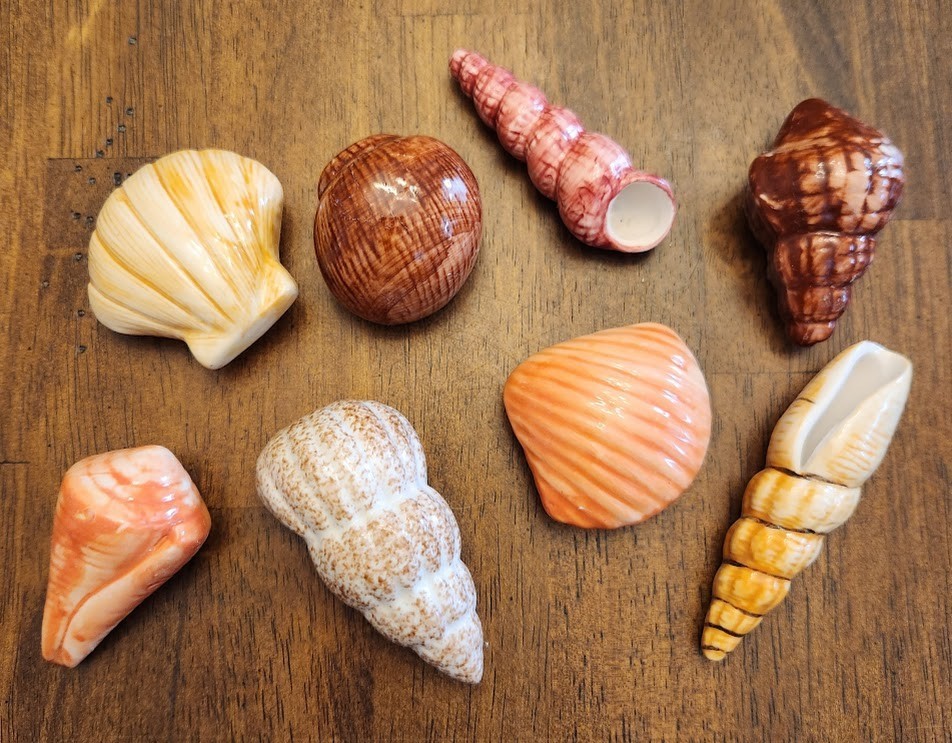 Painted Sea Shells 2 to 3 Inches Ceramic Ocean Beach Decor Set Of 8 with Crate B