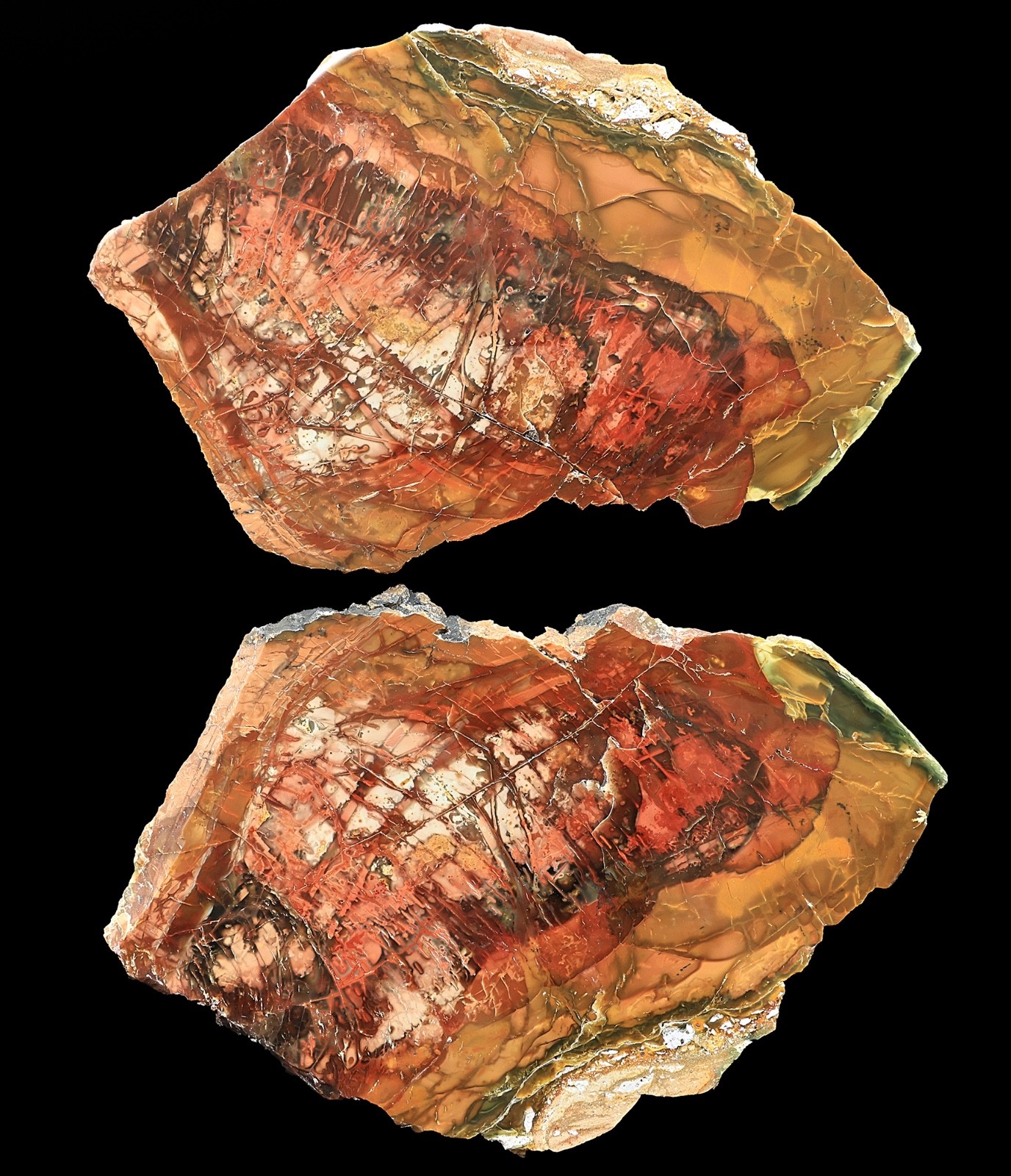 Red Blood Splatter Morrisonite Picture Jasper Butterfly Pair Specimens Polished