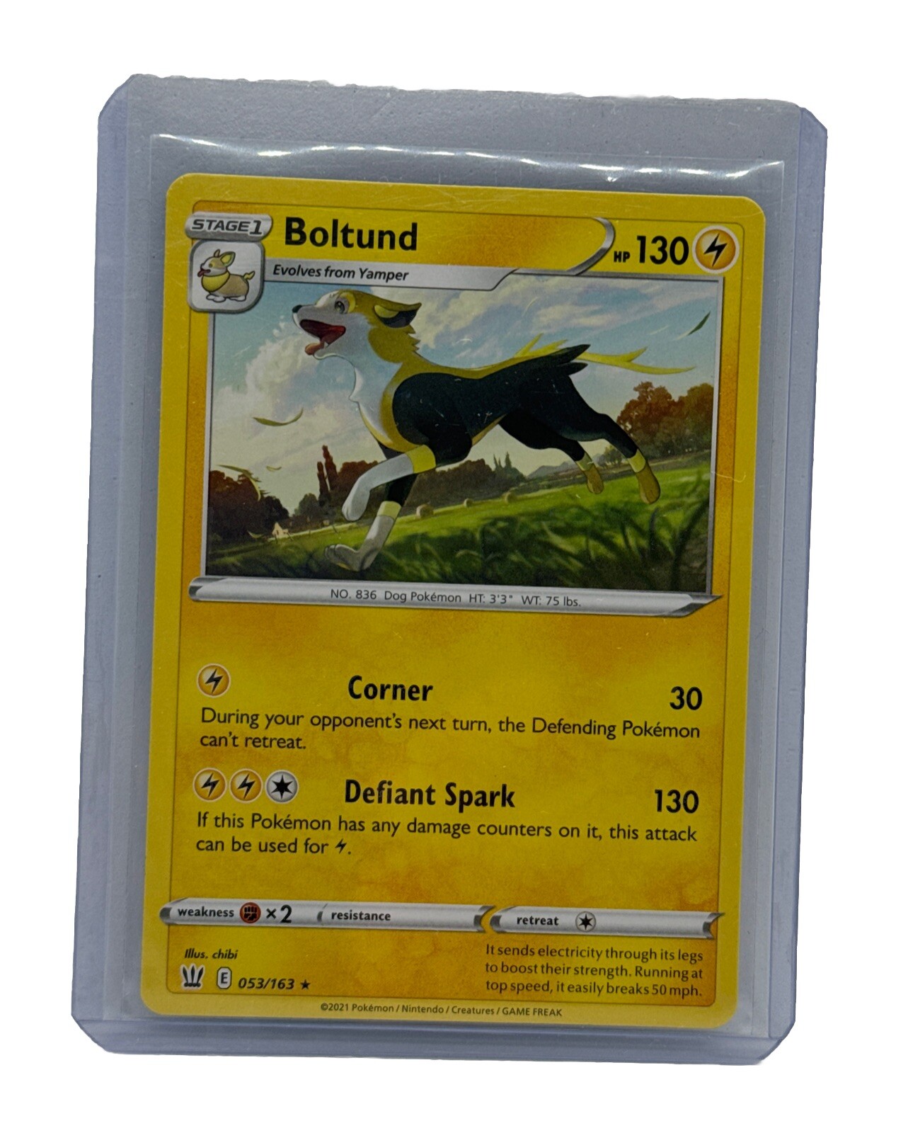 Boltund #53 Pokemon Battle Styles