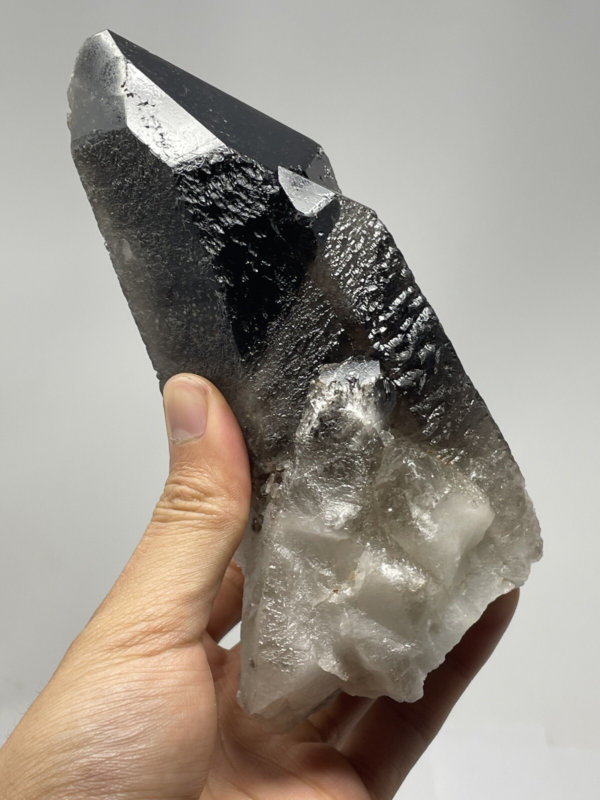 Natural Smoky Quartz Point Wand Brazil 1LBS 12.0oz Crystal Cluster S21