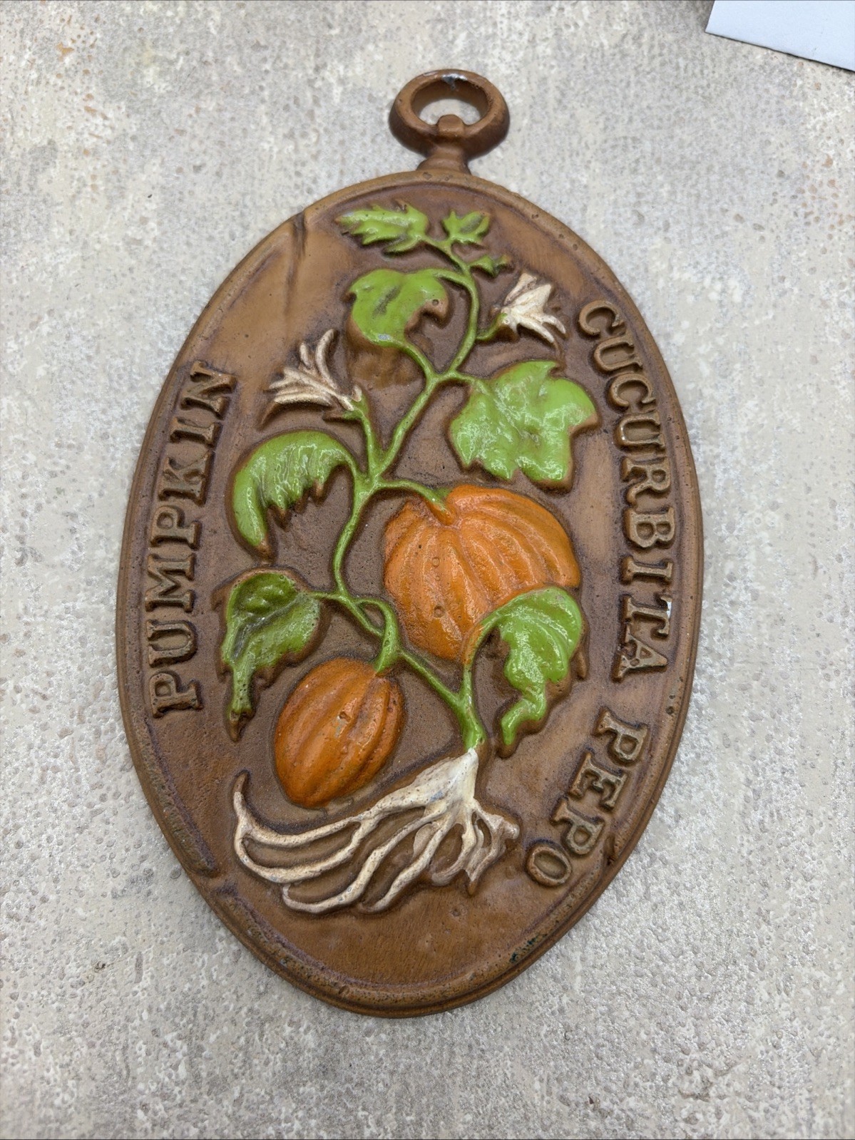 VINTAGE RARE Midwest Importers of Cannon Falls Pumpkin Cucurbita Pepo Wall Deco