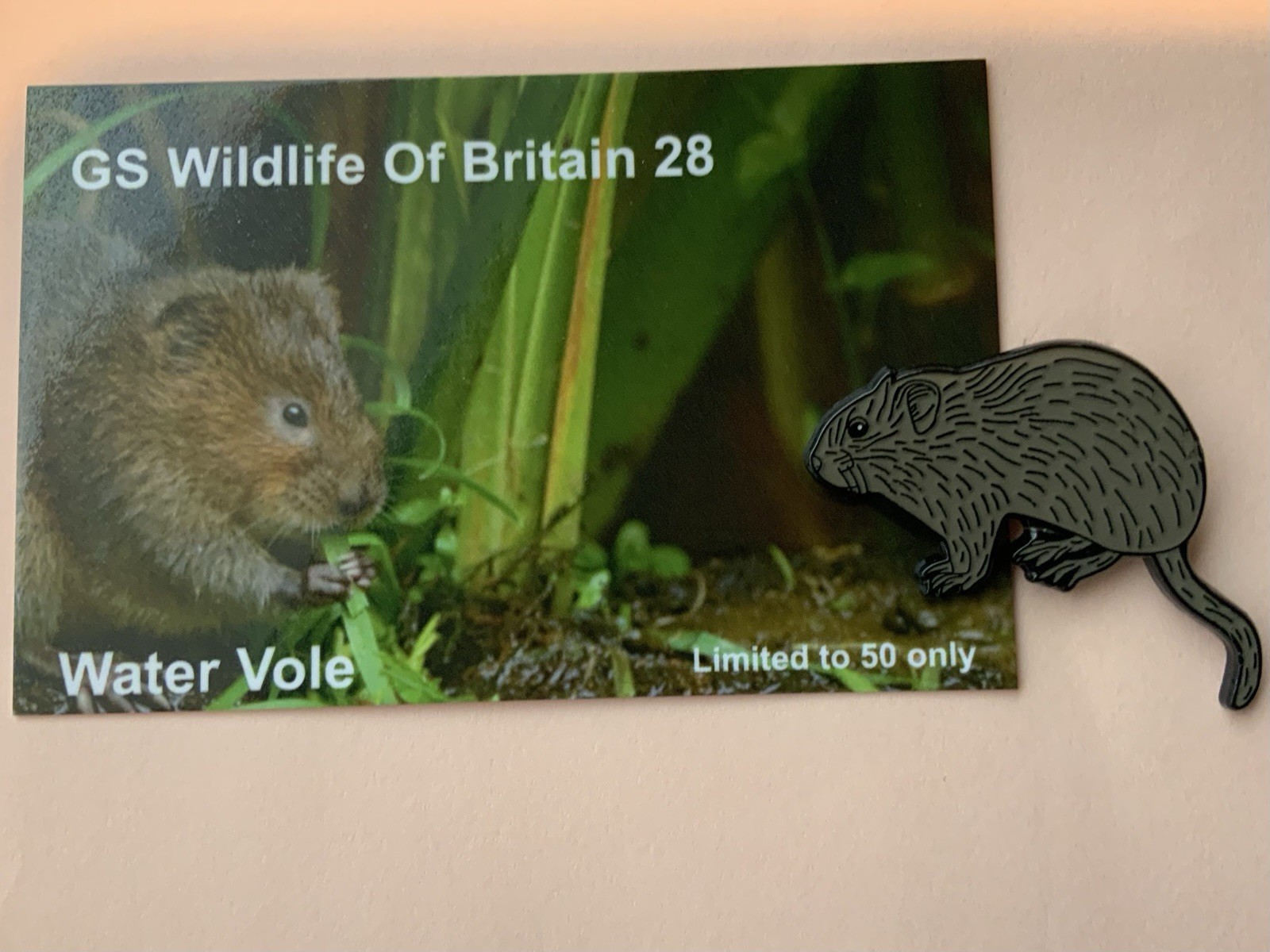 None RSPB Badges GS Collection Water vole