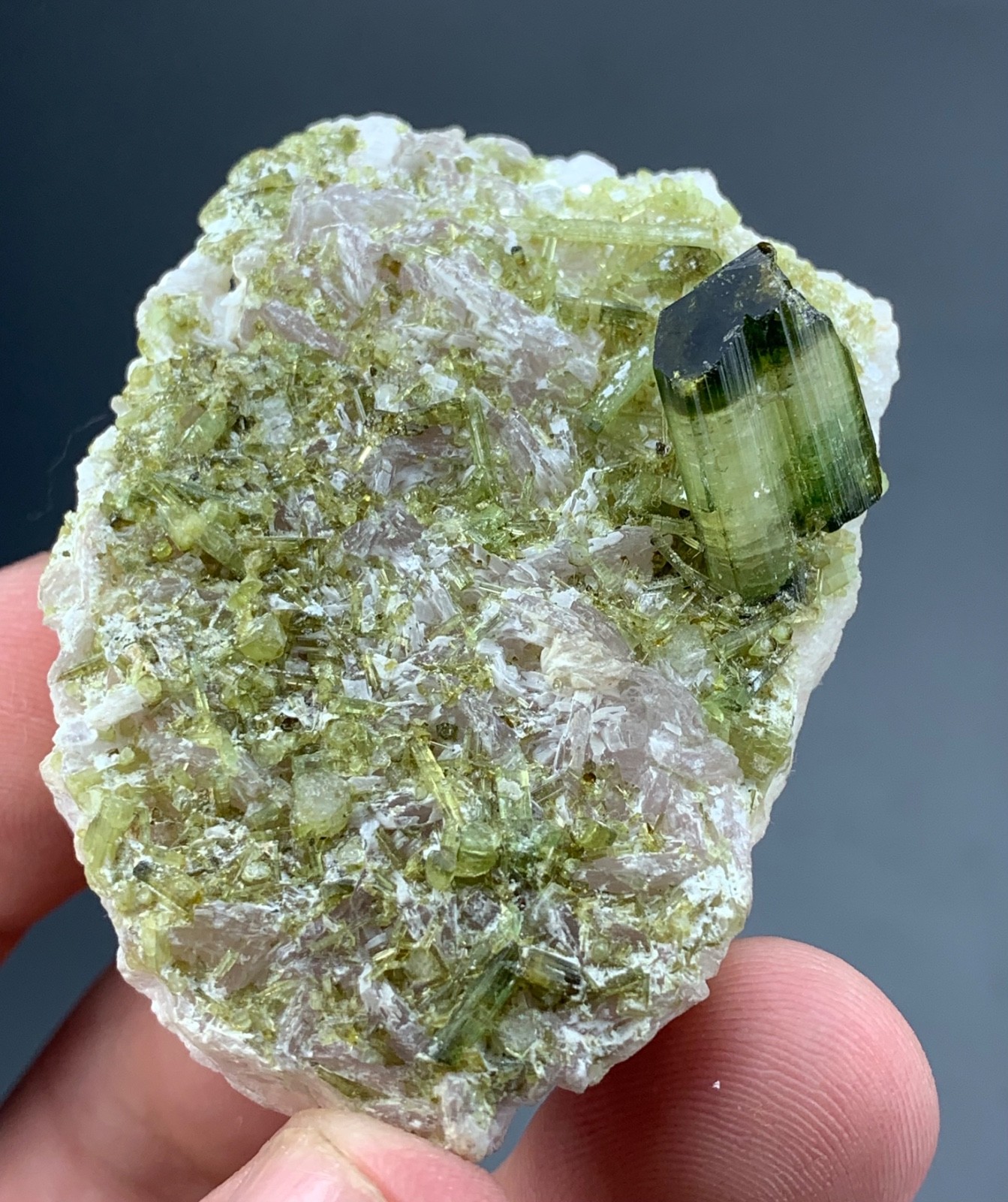 Tourmaline Crystal Specimen From Pakistan 350 Carat