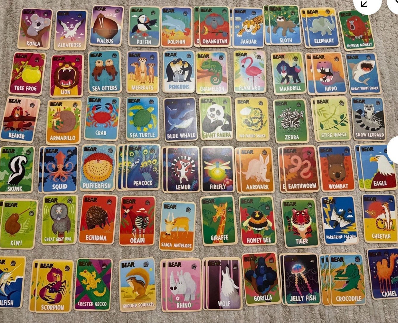 Bear’s Collectible Animal Cards from Bear Fruit Rolls – Singles MINT CONDITION