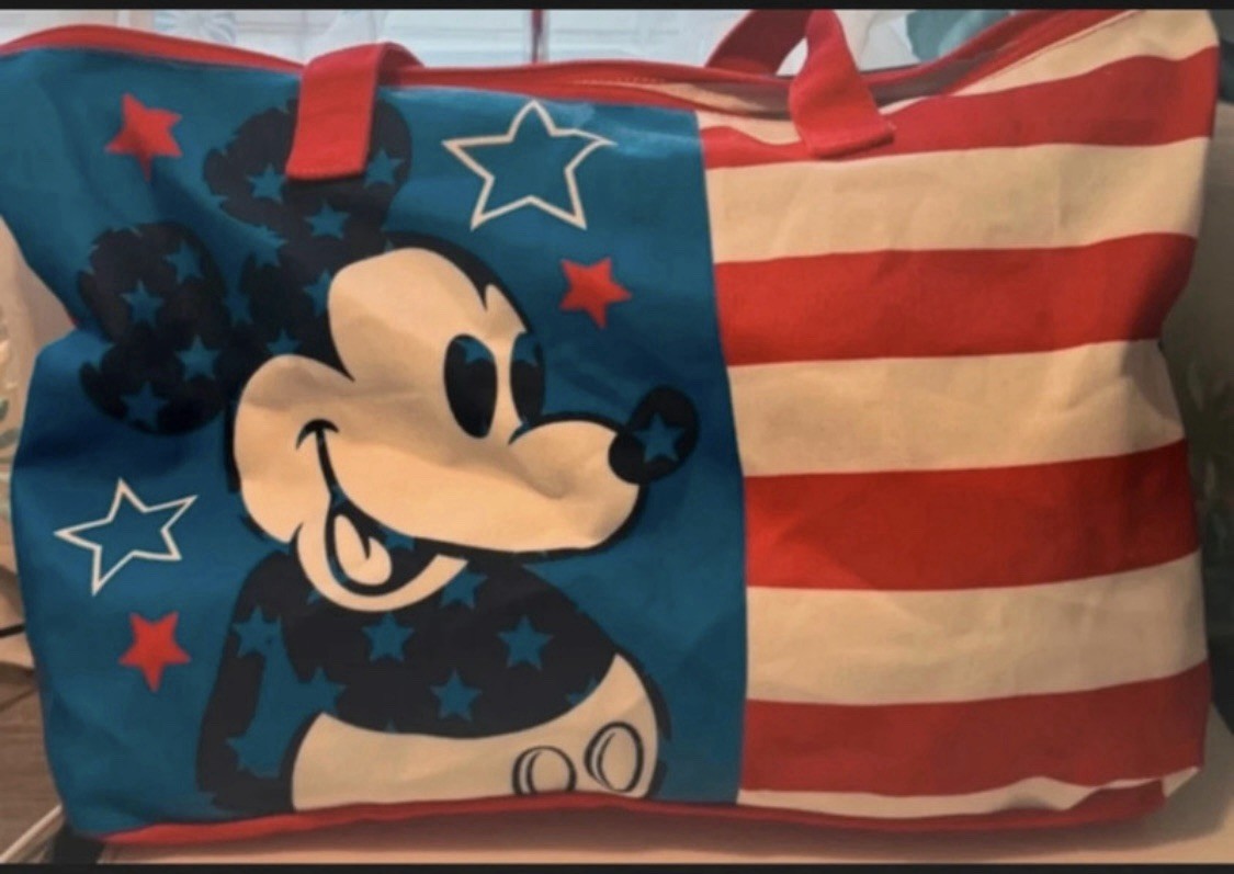 BNWOT Large Disney store foldable tote bag