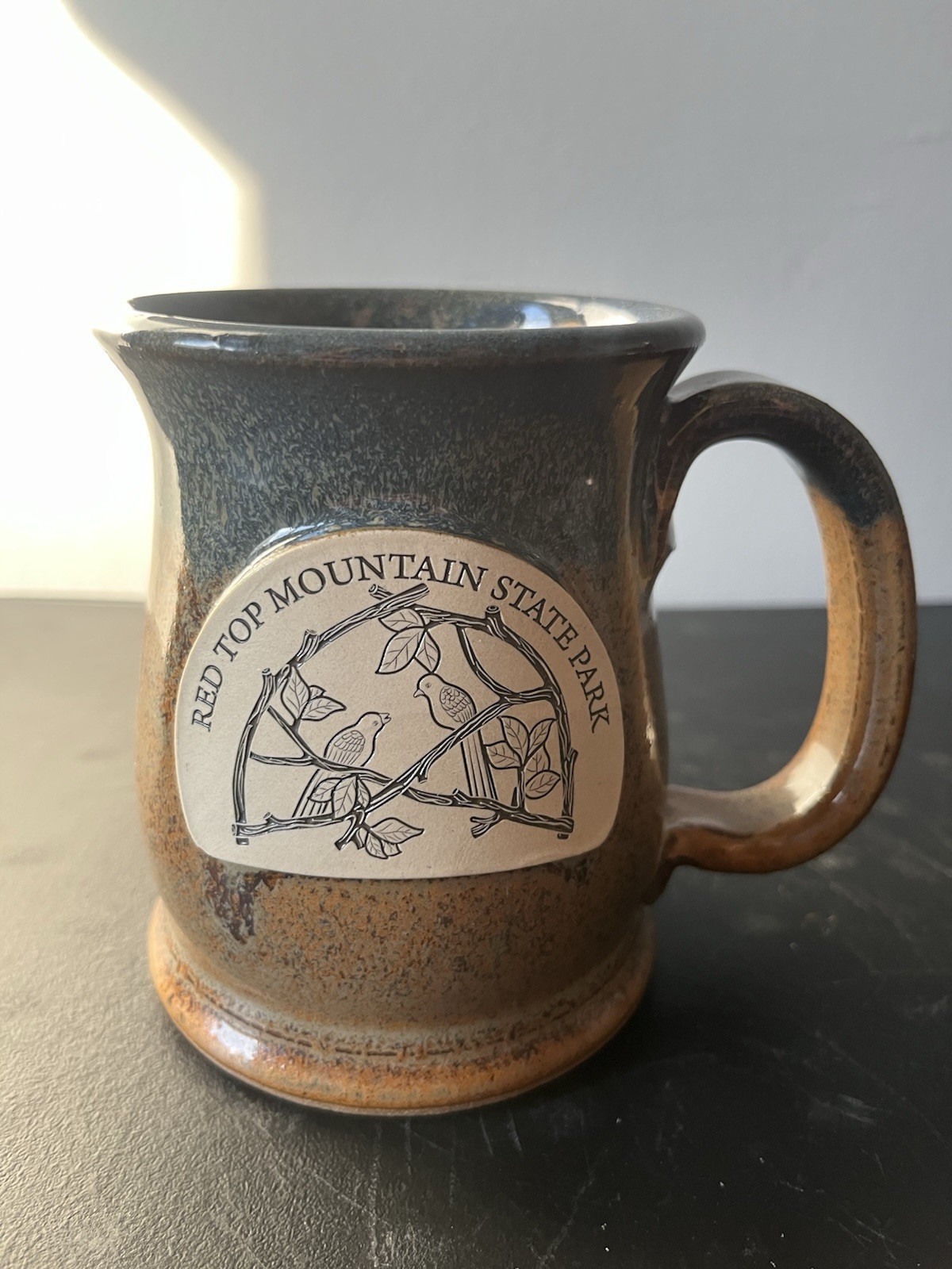 Handcrafted Red Top Mountain State Park Mug Sunset Hill Stoneware Pottery