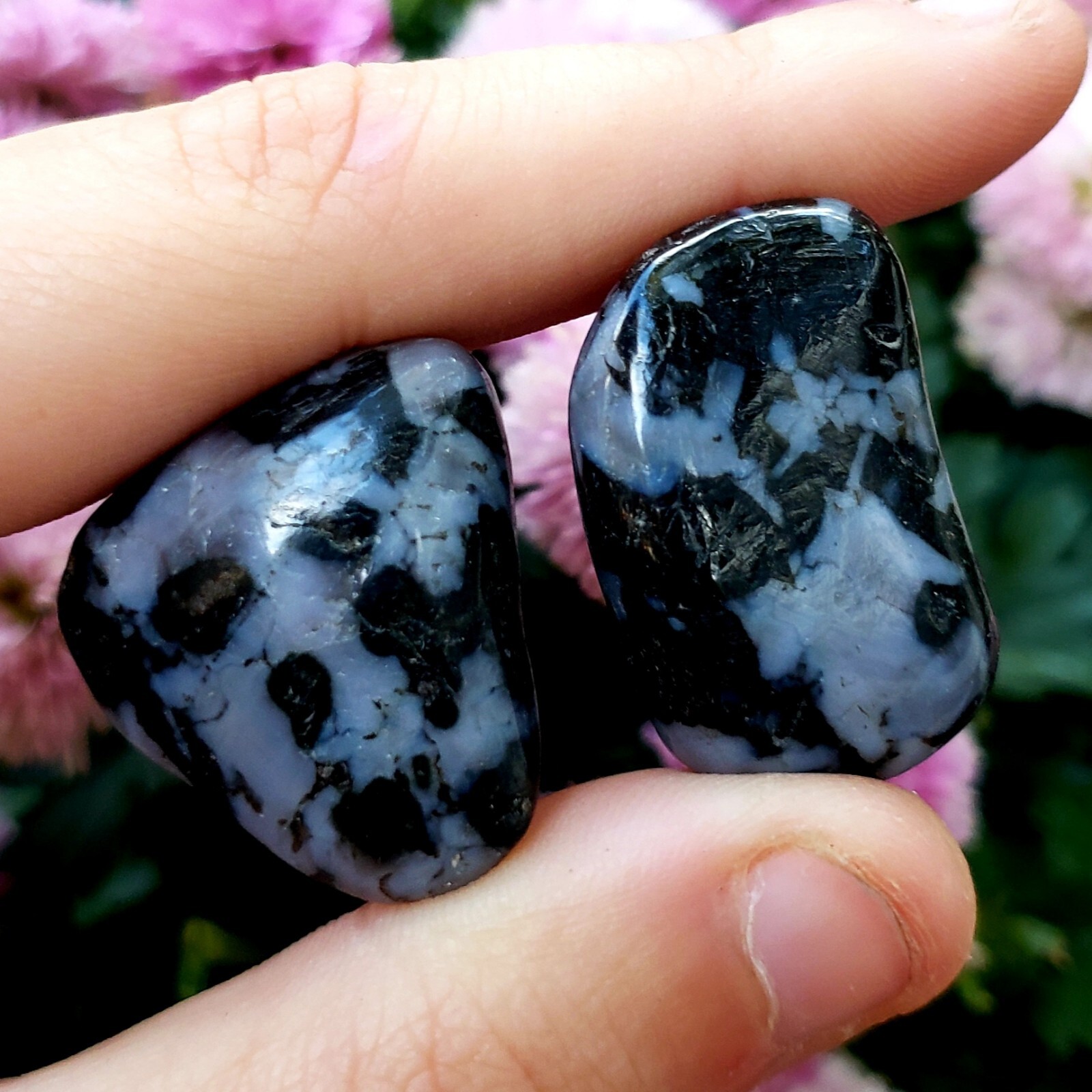 Mystic Merlinite Indigo Gabbro natural tumbled Crystal Healing Gemstones 2pc set