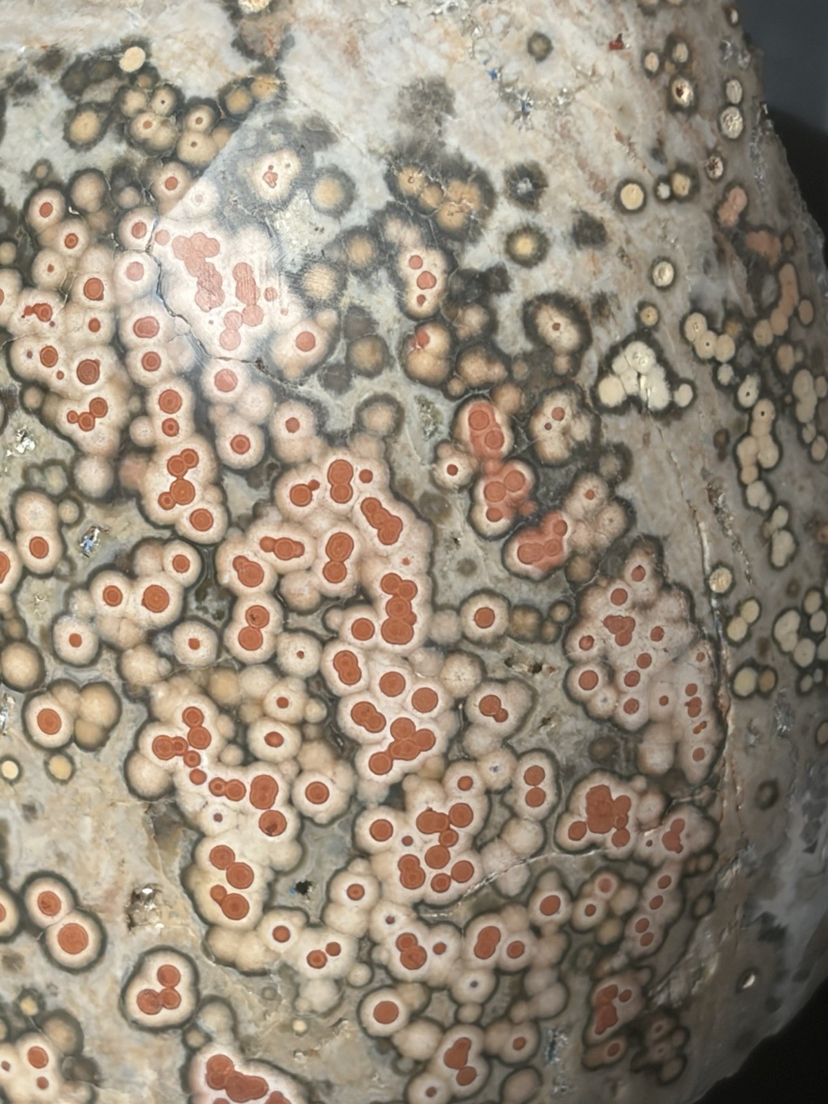 Old Stock Ocean Jasper Red Orbs Dome Polished Specimen